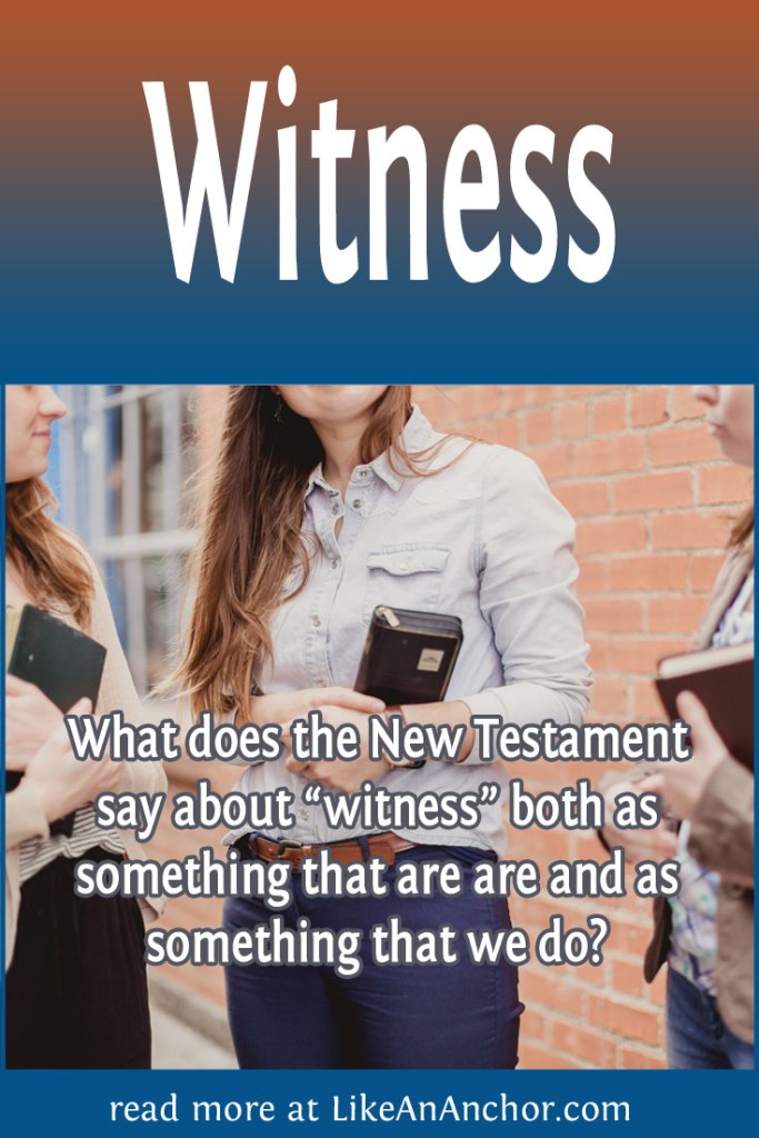 Image of three women talking and holding Bibles, with the blog's title text and the words "What does the New Testament say about “witness” both as something that are are and as something that we do?"