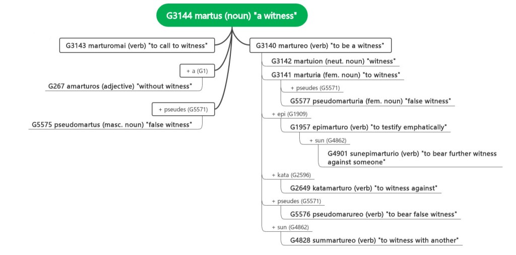 The image shows a mind map chart showing the Greek word "martus" (Strong's number G3144) and related derivative words.