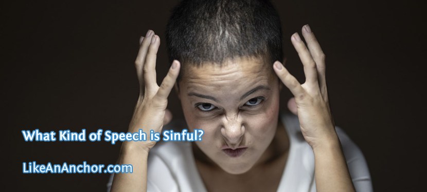 What Kind of Speech is Sinful?