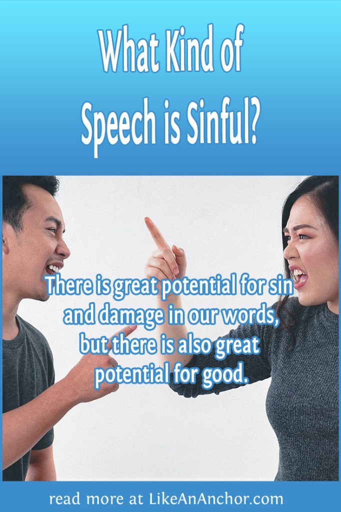 Image of two people yelling at each other with the blog's title text and the words "There is great potential for sin and damage in our words, but there is also great potential for good."
