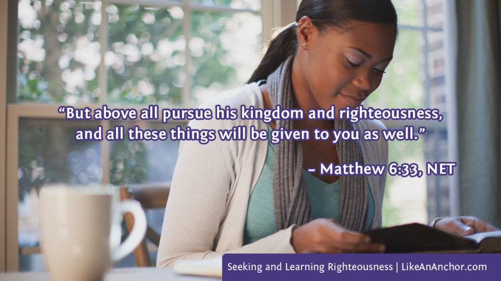 Image of a woman studying the Bible overlaid with text from Matthew 6:33, NET version:  “But above all pursue his kingdom and righteousness, and all these things will be given to you as well.”