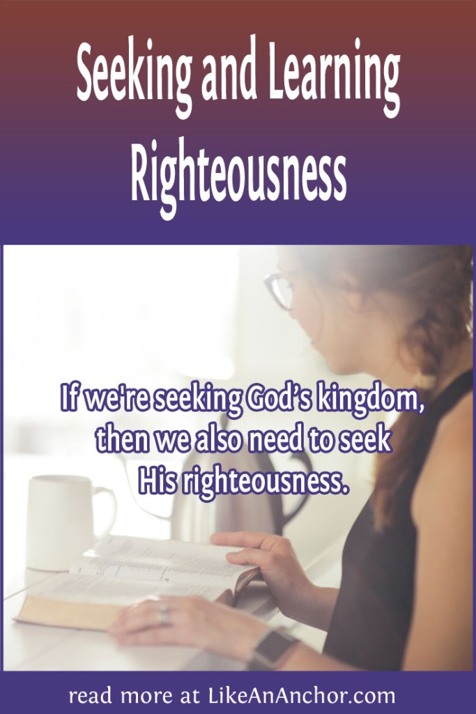 Image of a woman reading the Bible with the blog's title text and the words  "If we're seeking God’s kingdom, then we also need to seek His righteousness."