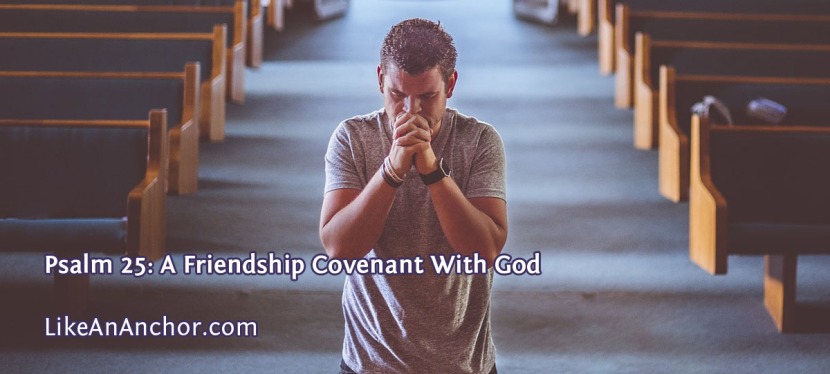 Psalm 25: A Friendship Covenant With God