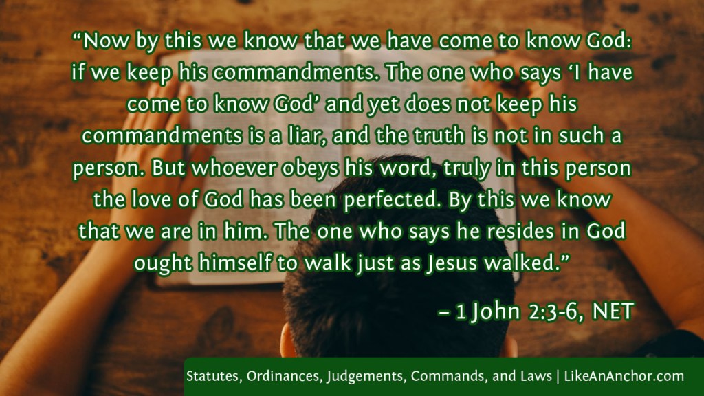 Image of a man reading the Bible overlaid with text from 1 John 2:3-6, NET version:  “Now by this we know that we have come to know God: if we keep his commandments. The one who says ‘I have come to know God’ and yet does not keep his commandments is a liar, and the truth is not in such a person. But whoever obeys his word, truly in this person the love of God has been perfected. By this we know that we are in him. The one who says he resides in God ought himself to walk just as Jesus walked.”
