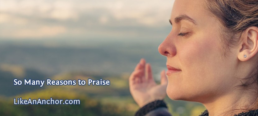 So Many Reasons to Praise