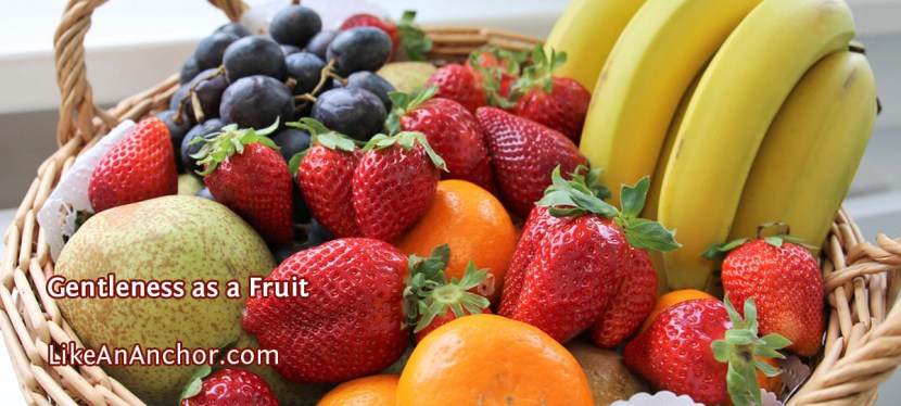 Gentleness as a Fruit