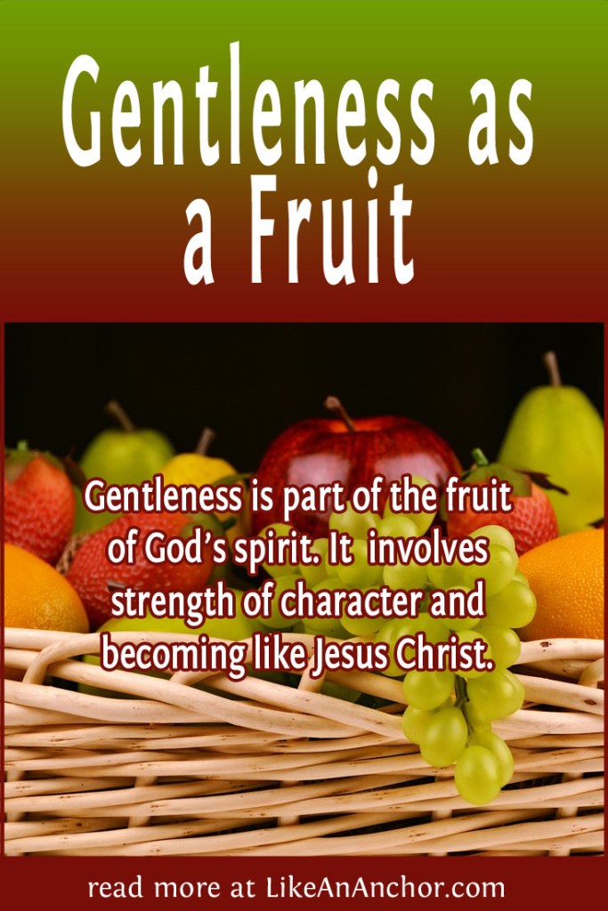 Image of a basket full of fruit, overlaid with blog's title text and the words, "Gentleness is part of the fruit of God’s spirit. It involves strength of character and becoming like Jesus Christ"