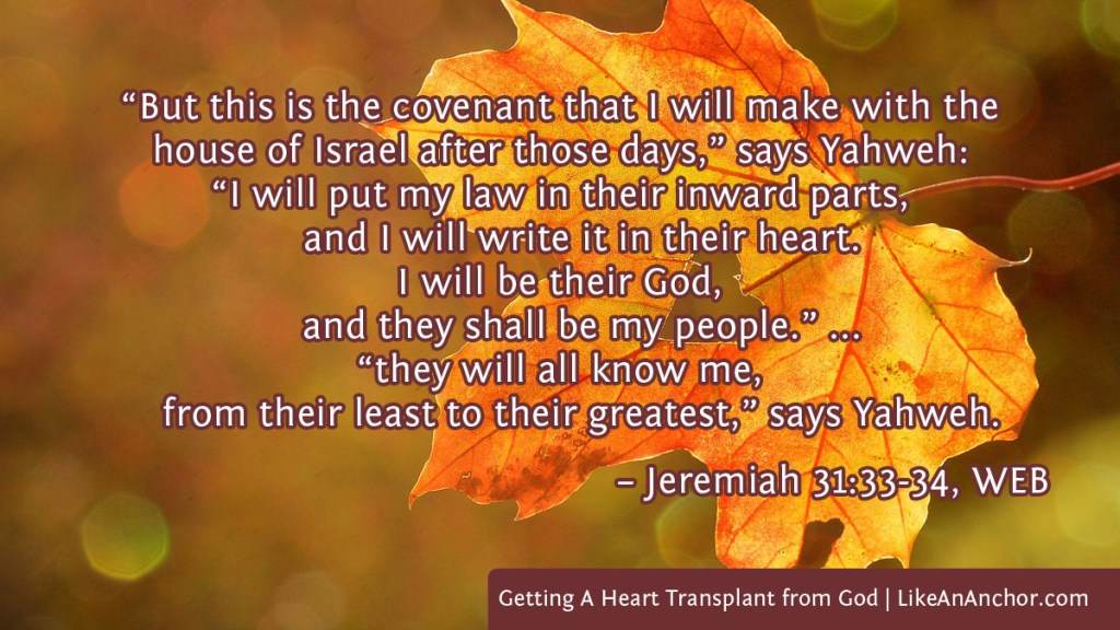 Image of an autumn leaf with a heart shapecut out of it overlaid with text from Jer. 31:33-34, WEB version: “But this is the covenant that I will make with the house of Israel after those days,” says Yahweh:
“I will put my law in their inward parts, and I will write it in their heart.
I will be their God, and they shall be my people.” ... “they will all know me, from their least to their greatest,” says Yahweh.
