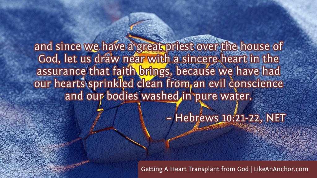 Image of a heart with light shining out of it overlaid with text from Heb. 10:21-22, NET version: "and since we have a great priest over the house of God, let us draw near with a sincere heart in the assurance that faith brings, because we have had our hearts sprinkled clean from an evil conscience and our bodies washed in pure water."