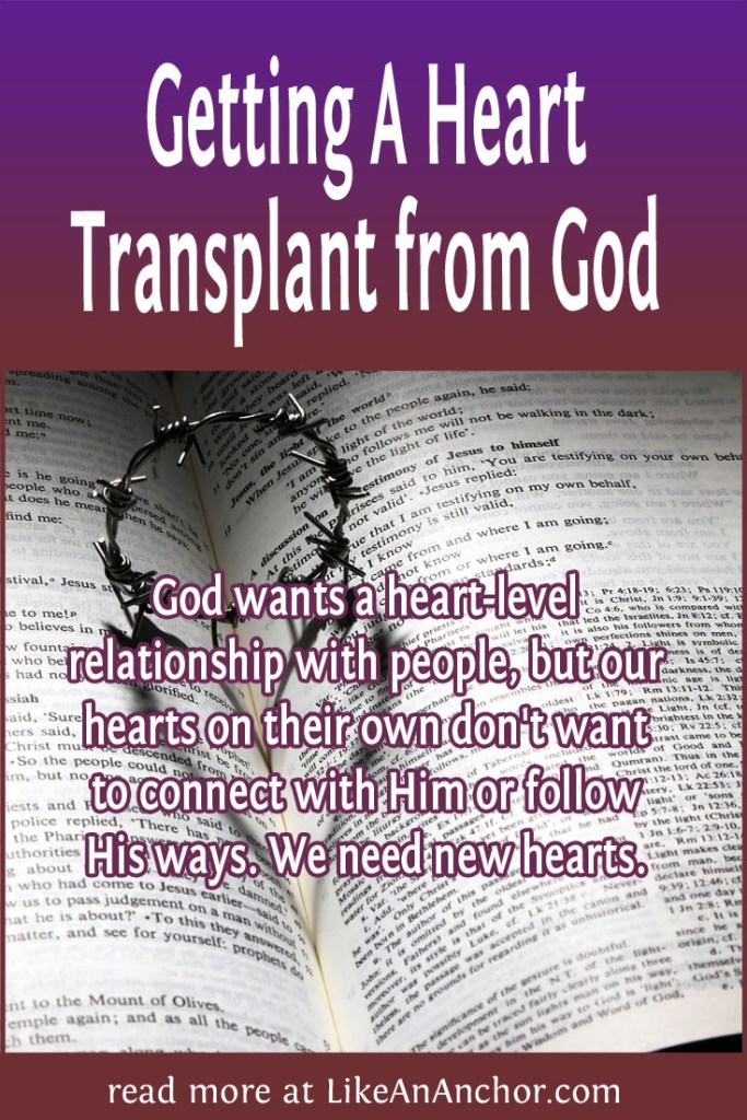 Image of a crown-of-thorns ring on a Bible casting a heart-shaped shadow, overlaid with blog's title text and the words, "God wants a heart-level
relationship with people, but our hearts on their own don't want to connect with Him or follow His ways. We need new hearts."