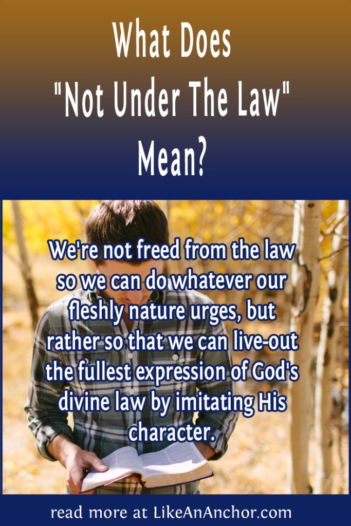 Image of a man in the woods reading the Bible, overlaid with blog's title text and the words, "We're not freed from the law so we can do whatever our fleshly nature urges, but rather so that we can live-out the fullest expression of God's divine law by imitating His character"
