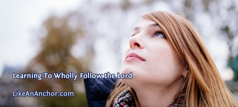 Learning To Wholly Follow the&nbsp;Lord