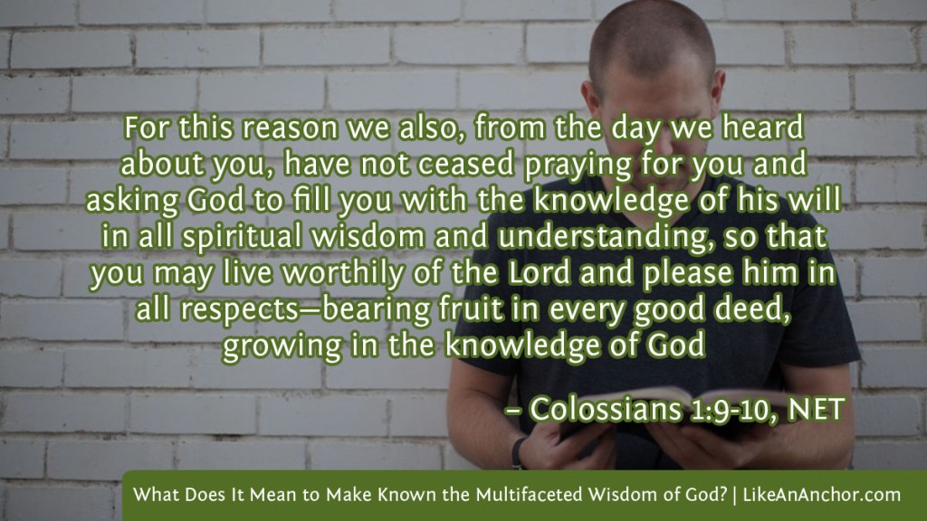 Image of a man reading the Bible overlaid with text from Colossians 1:9-10, NET version: "For this reason we also, from the day we heard about you, have not ceased praying for you and asking God to fill you with the knowledge of his will in all spiritual wisdom and understanding, so that you may live worthily of the Lord and please him in all respects—bearing fruit in every good deed,
growing in the knowledge of God"