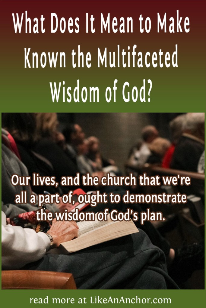 Image of people sitting in church services overlaid with blog's title text and the words, "Our lives, and the church that we're all a part of, ought to demonstrate the wisdom of God’s plan."