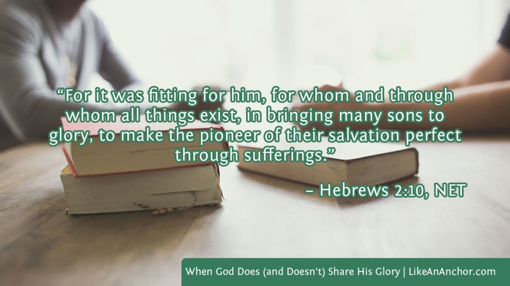 Image of two men sitting across a table from each other with books on the table overlaid with text from Heb. 2:10, NET version: “For it was fitting for him, for whom and through whom all things exist, in bringing many sons to glory, to make the pioneer of their salvation perfect through sufferings.”