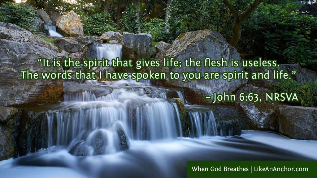 Image of a waterfall flowing over rocks overlaid with text from John 6:63, NRSVA version: "“It is the spirit that gives life; the flesh is useless. The words that I have spoken to you are spirit and life.”