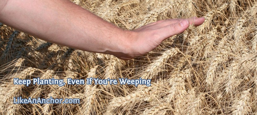 Keep Planting, Even If You’re Weeping