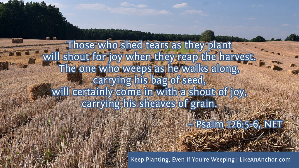 Image of a field just after harvest overlaid with text from Psalm 126:5-6, NET version: "Those who shed tears as they plant will shout for joy when they reap the harvest. The one who weeps as he walks along, carrying his bag of seed, will certainly come in with a shout of joy, carrying his sheaves of grain."