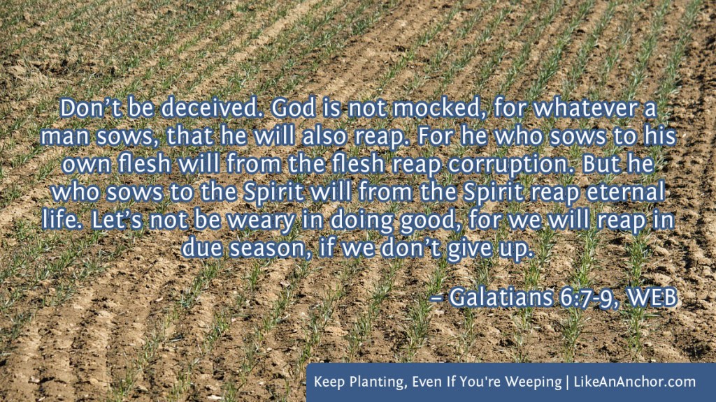 Image of a field of newly sprouted grain overlaid with text from Galatians 6:7-9, WEB version: "Don’t be deceived. God is not mocked, for whatever a man sows, that he will also reap. For he who sows to his own flesh will from the flesh reap corruption. But he who sows to the Spirit will from the Spirit reap eternal life. Let’s not be weary in doing good, for we will reap in due season, if we don’t give up."