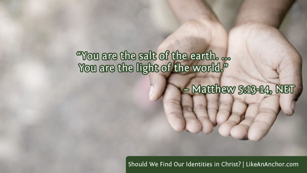 Image of two hands, palms up, overlaid with text from Matt. 5:13, 14, NET version: "You are the salt of the earth. ... You are the light of the world."