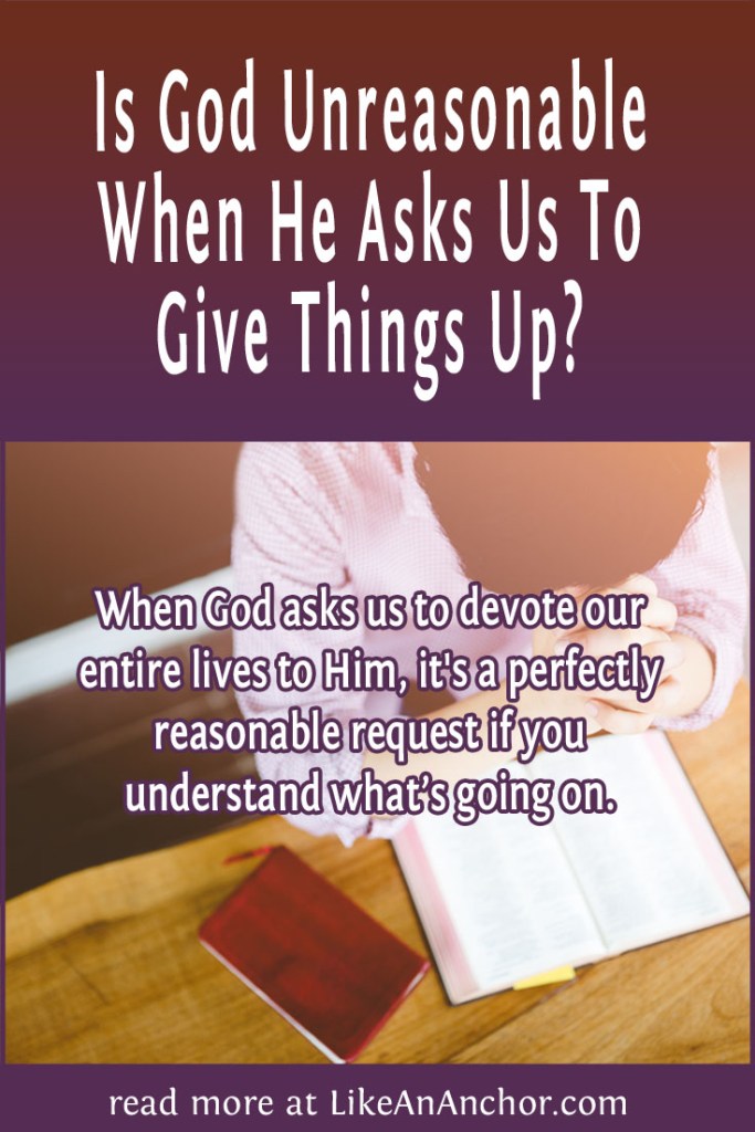 Image of ____, overlaid with blog's title text and the words, "When God asks us to devote our entire lives to Him, it's a perfectly reasonable request if you understand what’s going on."