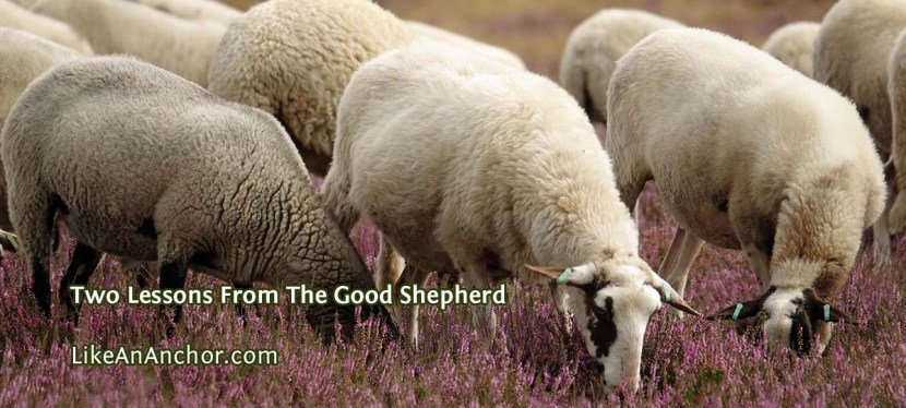 Two Lessons From The Good&nbsp;Shepherd