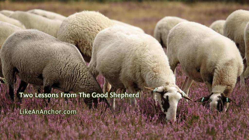 Two Lessons From The Good&nbsp;Shepherd