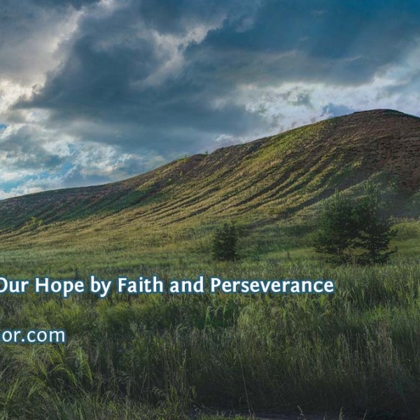 Inheriting Our Hope by Faith and&nbsp;Perseverance