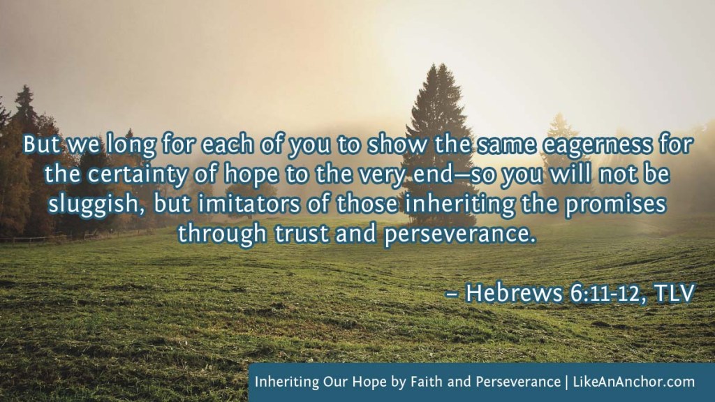 Image of a grassy field with a few trees and a misty sky overlaid with text from Hebrews 6:11-12, TLV version: "But we long for each of you to show the same eagerness for the certainty of hope to the very end—so you will not be sluggish, but imitators of those inheriting the promises through trust and perseverance."