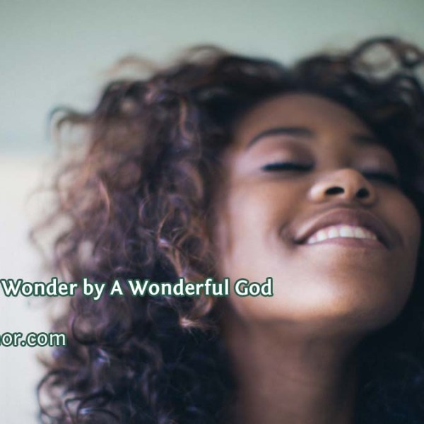 Filled With Wonder by A Wonderful&nbsp;God