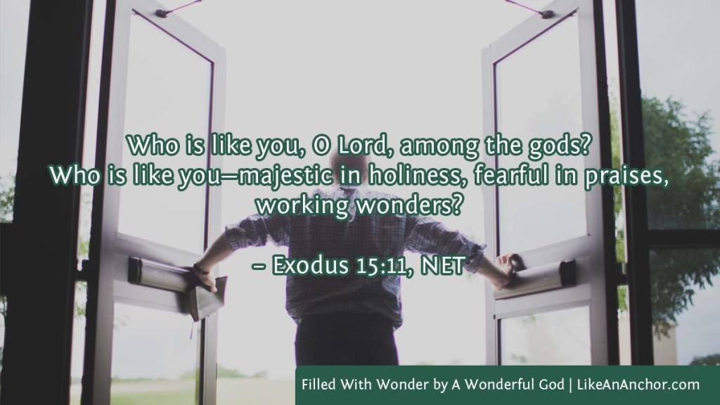 Image of a man pushing open doors to go outside overlaid with text from Exodus 15:11, NET version: "Who is like you, O Lord, among the gods? Who is like you—majestic in holiness, fearful in praises, working wonders?"