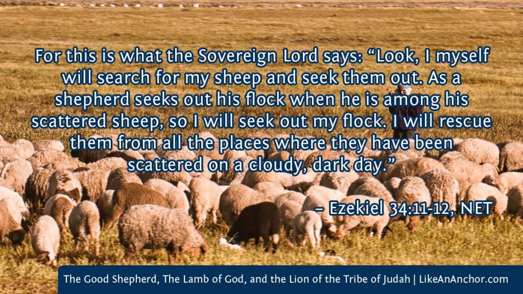 Image of a shepherd with a flock of sheep overlaid with text from Ezekiel 34:11-12, NET version: "For this is what the Sovereign Lord says: “Look, I myself will search for my sheep and seek them out. As a shepherd seeks out his flock when he is among his scattered sheep, so I will seek out my flock. I will rescue them from all the places where they have been scattered on a cloudy, dark day.”