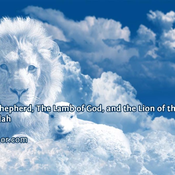 The Good Shepherd, The Lamb of God, and the Lion of the Tribe of&nbsp;Judah